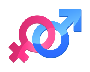 Plan estratégico de Igualdad de Género en Educación – Centro ...